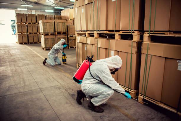 Best Ant Control Services  in Andrews, TX