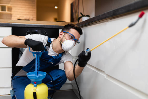 Professional Pest Control in Andrews, TX