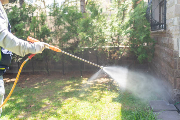 Bird Control in Andrews, TX