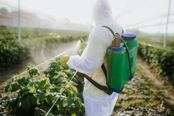 Best Mosquito Control Services  in Andrews, TX